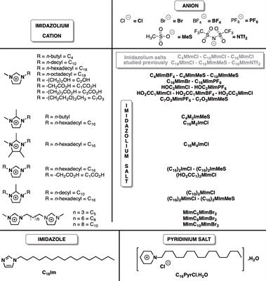 Imidazolium salts as an alternative for anti-Leishmania drugs: Oxidative and immunomodulatory activities